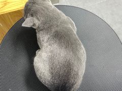 -宠颐生宠物医院外科·内科·皮肤科·影像科(石龙店)