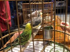 -那家小馆•北京菜•烤鸭(香山店)