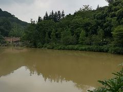 -云溪植物园