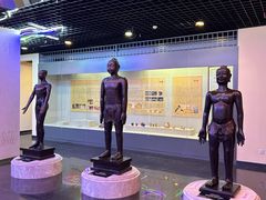 -广东中医药博物馆