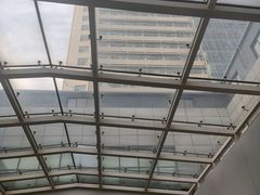 -山东大学齐鲁医院(青岛院区)