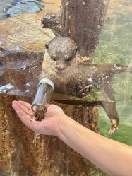 -Zoolung Zoolung动物主题公园(海信广场店)