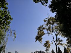 -57号足浴
