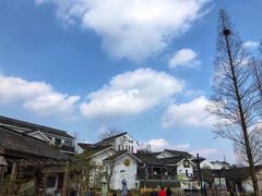 -南京老山国家森林公园
