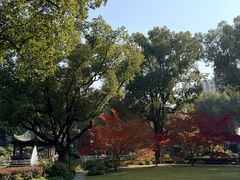 -申粤轩酒楼·三十年粤菜经典(丁香花园店)