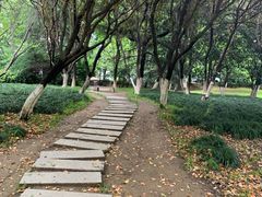 -中央公园(苏州工业园区)