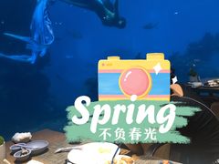 -涛·海底餐厅·美人鱼·自助餐·海底隧道(三亚海棠湾洲际度假酒店)