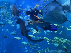 -太平洋海底世界