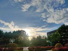 -山东外贸职业学院