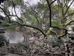 -西园戒幢律寺