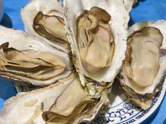 -千岛蚝高压锅生蚝·人参火锅(白云万达店)