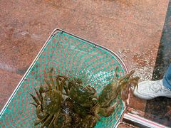 -羊家胡同·龙虾烧烤火锅(龙汇路店)