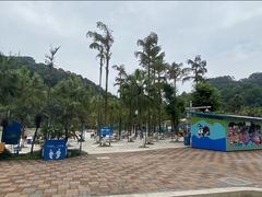 -重庆海昌加勒比海水世界