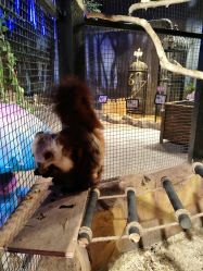 -酷嗒动物文化乐园(cutezoo西溪乐天城店)