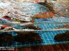 -香山湖家家宴(中山陵店)