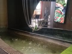 -云海肴云南菜·蒸汽石锅鱼(青岛万象城店)