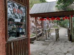 -花岙岛