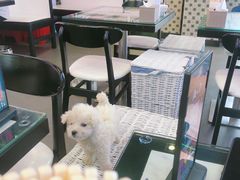 -澳门陈光记烧味饭店(万象城店)