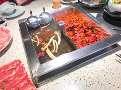 -二荆条·蜀鲜汇城市森林火锅