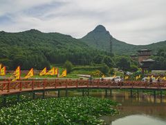 -帽儿山国家森林公园