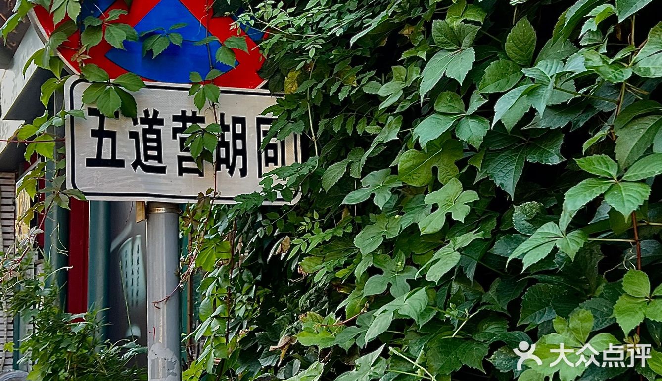没有很快乐，但是不难过