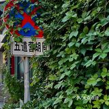没有很快乐，但是不难过