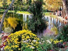 -上海共青森林公园