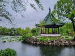 -无锡蠡湖国家湿地公园-蠡园