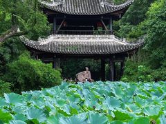 -三苏祠