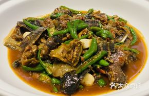 Bell Pepper Turtle Stir-fry