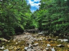 -黑河国家森林公园