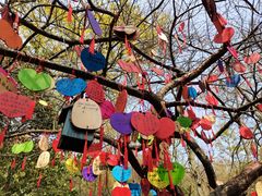 -宁波市保国寺古建筑博物馆