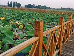 -汉九宫牛肉面·清真(兰州市自来水总公司住宅楼店)