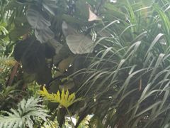 -樹下遇见树·咖啡