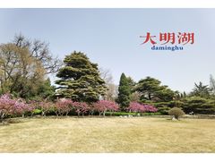-济南大明湖景区