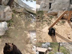 -石家庄市动物园