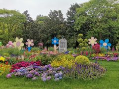 -上海共青森林公园