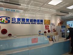 -北京观赏动物医院·24小时大型综合·猫专科·异宠专科
