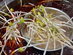 -大龙火锅(老店)