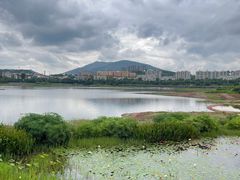 -安宁市宁湖森林公园