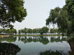 -金银湖国家城市湿地公园