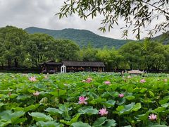 -兰亭风景区