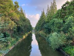-上海长兴岛郊野公园