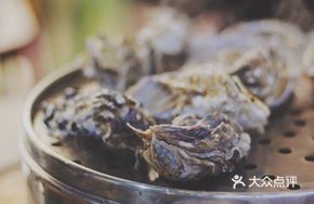 Lemon Oyster