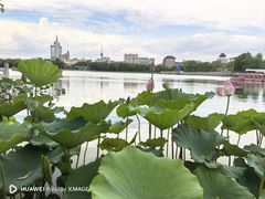 -莲花池公园