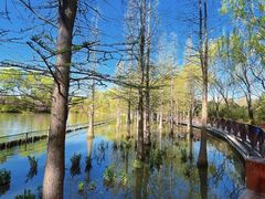 -洛阳市隋唐城遗址植物园