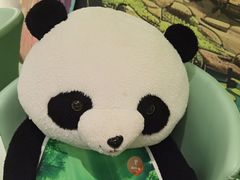 -眉州东坡·熊猫主题餐厅(枫蓝店)