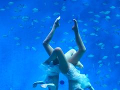 -合肥海洋世界