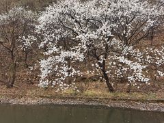 -湖洞水自然风景区