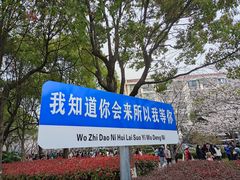 -高东镇樱花园